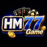 HM77 GAME